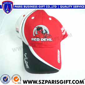 Wholesale Custom Cap/Baseball Cap/Hat With 3D Embroidery Logo